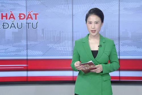 Bản tin Nhà đất và Đầu tư | 23/07/2025