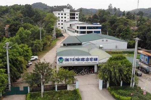 Dược liệu Việt Nam 'góp mặt' trong danh sách nhà thầu không đảm bảo uy tín