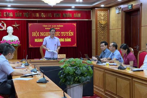 Góp ý dự thảo Quy định chức năng, nhiệm vụ, tổ chức bộ máy cơ quan báo và phát thanh, truyền hình tỉnh, thành phố