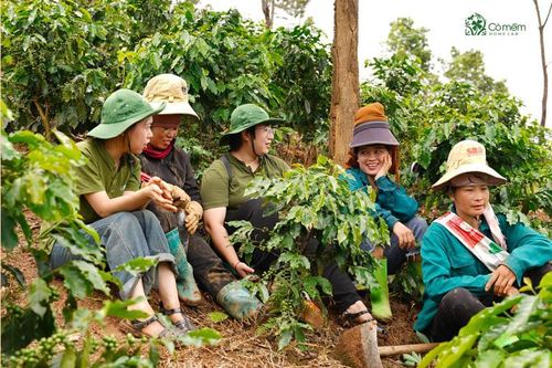 Cỏ Mềm - doanh nghiệp Việt và tiêu chuẩn toàn cầu