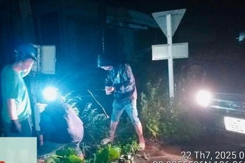 Thông tin bảo đảm thông suốt trước, trong và sau bão số 3