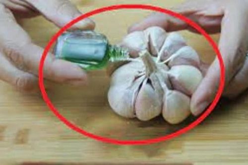 Trộn tỏi với dầu gió có tác dụng gì?
