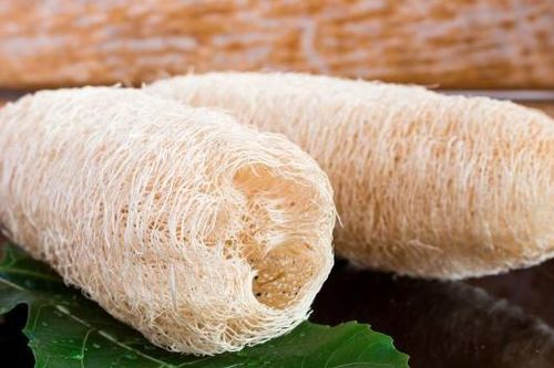 6 cách chế biến mướp tốt cho sức khỏe