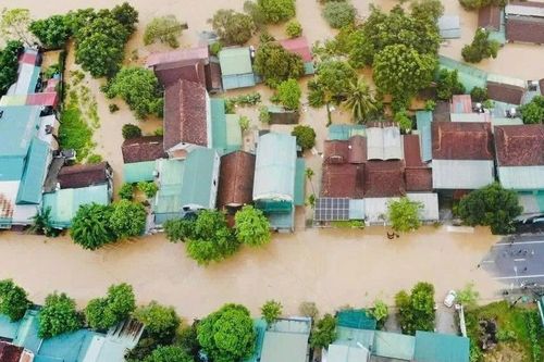 Giải mã về tên gọi của cơn bão số 4 CO-MAY (Cỏ may) do Việt Nam đặt tên