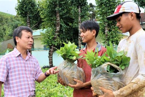 Người dân Quảng Ngãi gửi cây giống, phân bón thay hoa chúc mừng đến Đại hội Đảng bộ xã