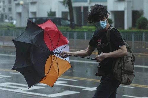 Bão Wipha làm 'chao đảo' ngành du lịch khu vực