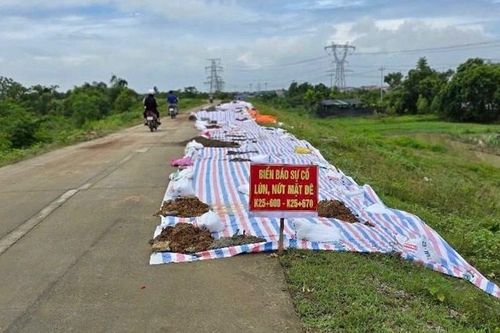 Hà Nội: sớm khắc phục triệt để sự cố lún, sụt đê hữu Cầu