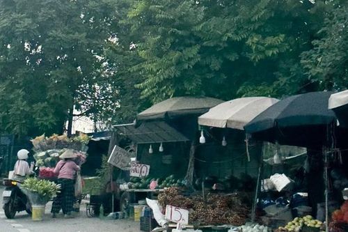 Hà Nội: tập trung xóa bỏ 'chợ tạm', 'chợ cóc'