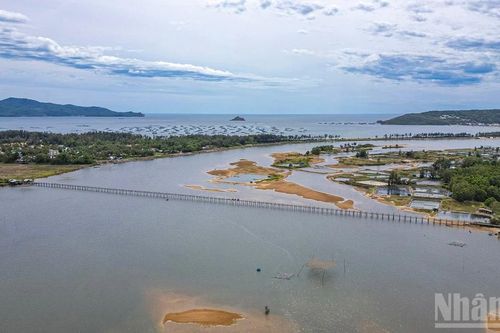 Cầu gỗ Ông Cọp: Công trình mộc mạc, mê đắm của một miền thơ