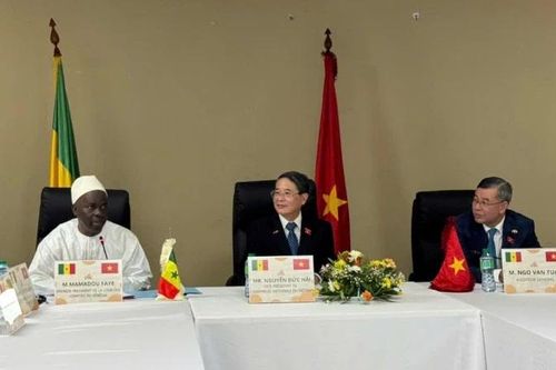 Phó Chủ tịch Quốc hội Nguyễn Đức Hải làm việc với Chủ tịch Tòa thẩm kế Senegal