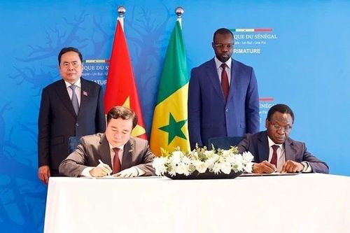 Việt Nam-Senegal: Ký kết Bản ghi nhớ về thương mại gạo