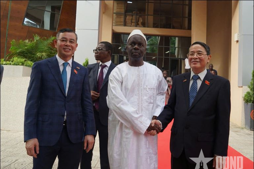 Việt Nam và Senegal tăng cường hợp tác trong lĩnh vực kiểm toán