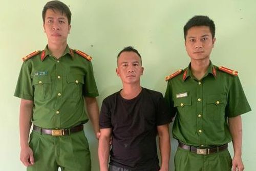 Nhập nha trộm tiền vàng