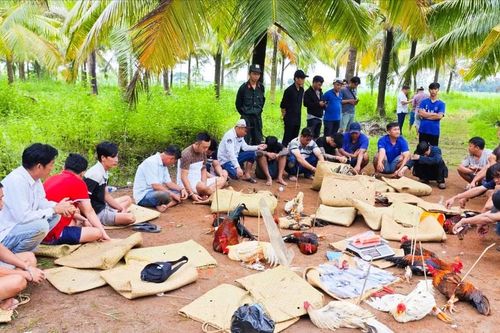 Triệt phá trường gà sát phạt trên 1,6 tỷ đồng, tạm giữ 11 xe ô tô