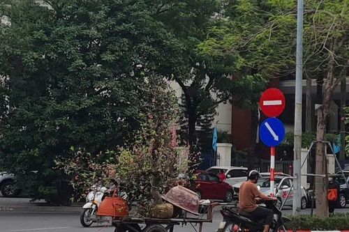 Hà Nội cấm xe máy xăng, cần lộ trình tín chỉ xe sạch