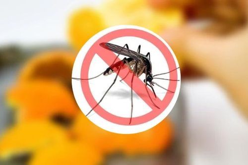 'Sốt' máy đuổi muỗi tích hợp công nghệ mùa mưa