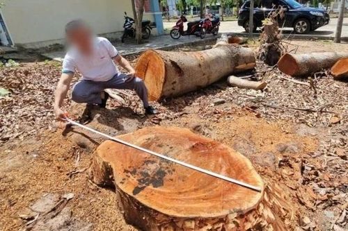Nguyên Bí thư và Chủ tịch phường được yêu cầu làm bản tự kiểm