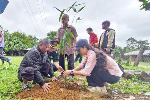 Cây tre hữu nghị bén rễ nơi vùng biên giới Việt - Lào