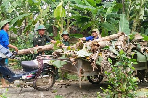 Sinh viên tình nguyện hỗ trợ người dân khắc phục hậu quả mưa bão