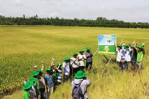 Petrovietnam và 5 chữ 'An' - Bài 3: Sứ mệnh đảm bảo an ninh lương thực quốc gia
