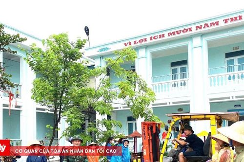 Hải Phòng thiệt hại hơn 10 tỷ đồng do bão số 3