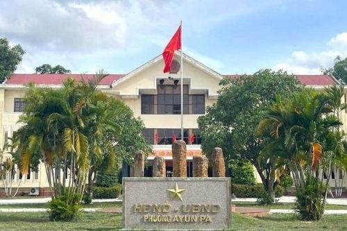 Vụ chặt cây xanh trước sáp nhập: Nguyên chủ tịch và bí thư phường phải tự kiểm điểm