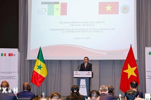 Việt Nam-Senegal thúc đẩy hợp tác thương mại và chế biến nông sản