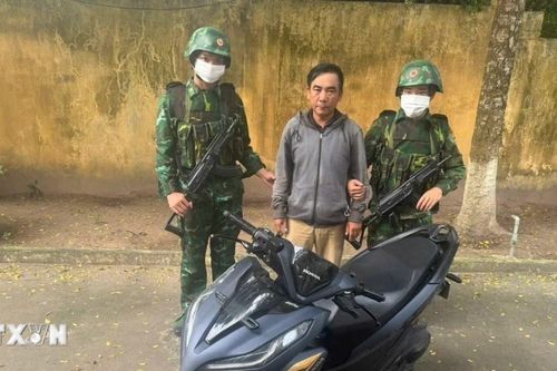 Tội phạm trên tuyến biên giới Tây Nam liên tục thay đổi thủ đoạn