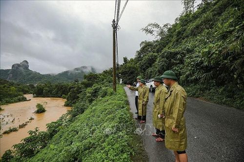 Nước sông Bùi tại Phú Thọ dâng cao trên báo động II