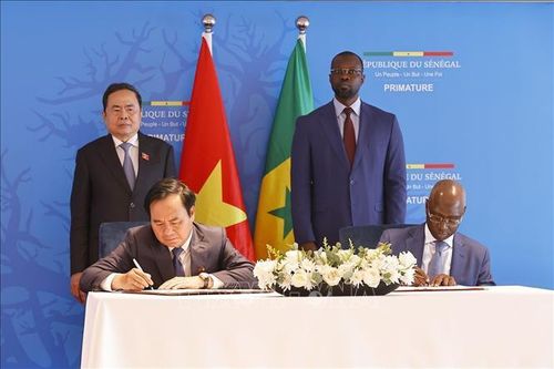 Việt Nam sẵn sàng phối hợp xây dựng chiến lược phát triển nông nghiệp toàn diện với Senegal