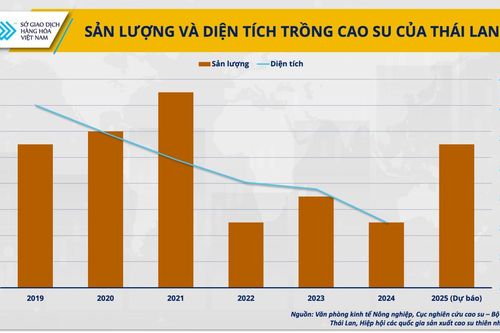Từ 'ngôi vương' xuất khẩu cao su, Thái Lan có nguy cơ hụt hơi trước Việt Nam?