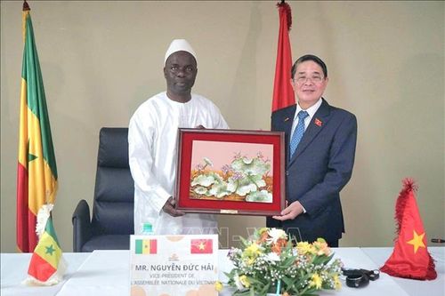 Phó Chủ tịch Quốc hội Nguyễn Đức Hải làm việc với Chủ tịch Tòa Thẩm kế Senegal