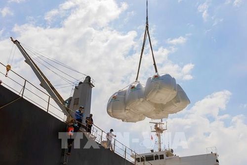 Việt Nam duy trì đối tác xuất khẩu gạo lớn thứ 3 tại Singapore
