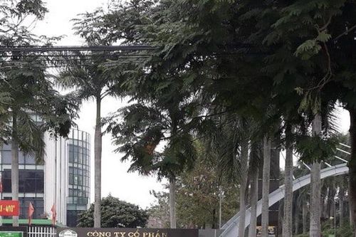 Nhựa Tiền Phong báo lãi 6 tháng đầu năm 2025, cao nhất lịch sử