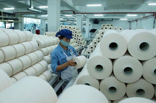 Sợi Thế Kỷ bất ngờ 'vỡ kế hoạch' chào bán 13,5 triệu cổ phiếu