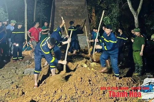 Gia cố, đảm bảo an toàn đê tại xã Triệu Sơn