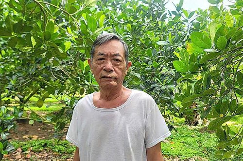 Thương binh Hoàng Văn Sinh vượt khó vươn lên
