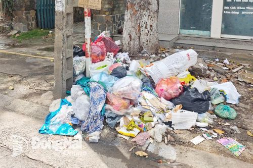 Bãi rác tự phát gây ô nhiễm môi trường