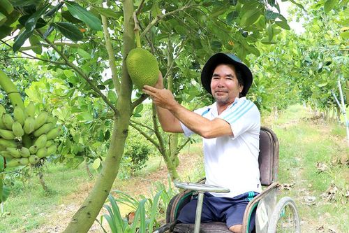 Người thương binh vươn lên từ gian khó