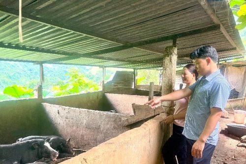 Diện mạo nông thôn khởi sắc