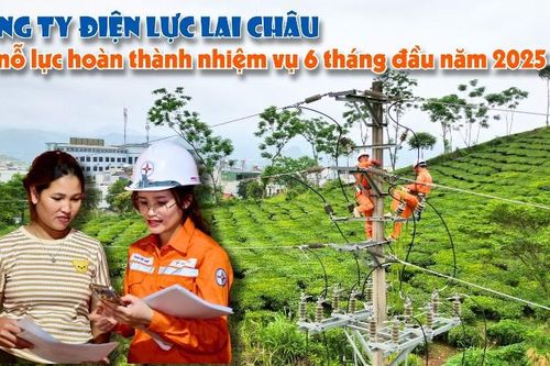 Công ty Điện lực Lai Châu nỗ lực hoàn thành nhiệm vụ 6 tháng đầu năm 2025