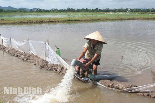 Nhanh chóng khôi phục sản xuất sau bão số 3
