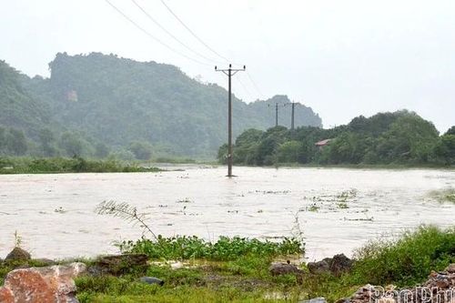 Báo động II trên sông Bùi và báo động I trên sông Bứa khi nước lũ dâng cao