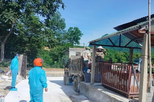 Thành lập 4 đoàn kiểm tra phòng, chống bệnh Dịch tả lợn châu Phi