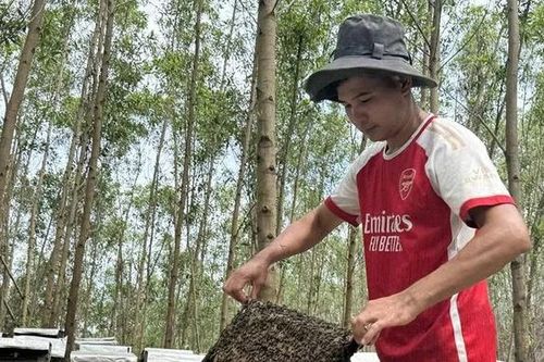 Theo những mùa hoa nở...