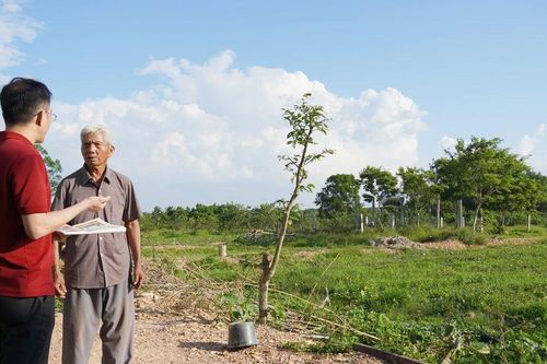 Cấp giấy chứng nhận quyền sử dụng đất cho ông Dương Trung Kiên trong tháng 8/2025