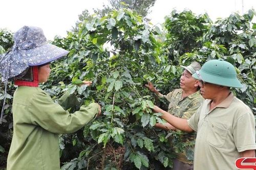 Nhịp sống Mường Chanh