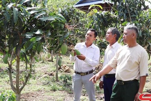 Mường Lạn nỗ lực giảm nghèo