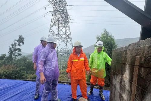 PTC1 đảm bảo vận hành an toàn hệ thống truyền tải điện sau bão Wipha