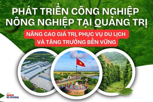 Công nghiệp nông nghiệp Quảng Trị: Hướng tới tăng trưởng bền vững